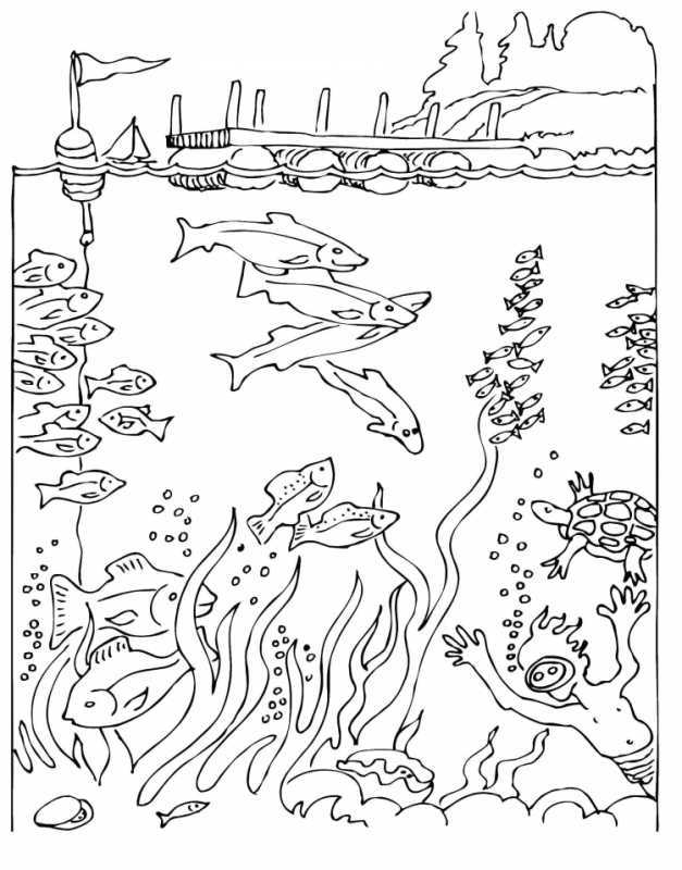 Рисунок на тему чистая вода