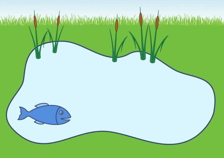 Нарисовать пруд