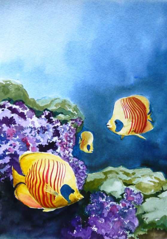 Красивые детские рыбки