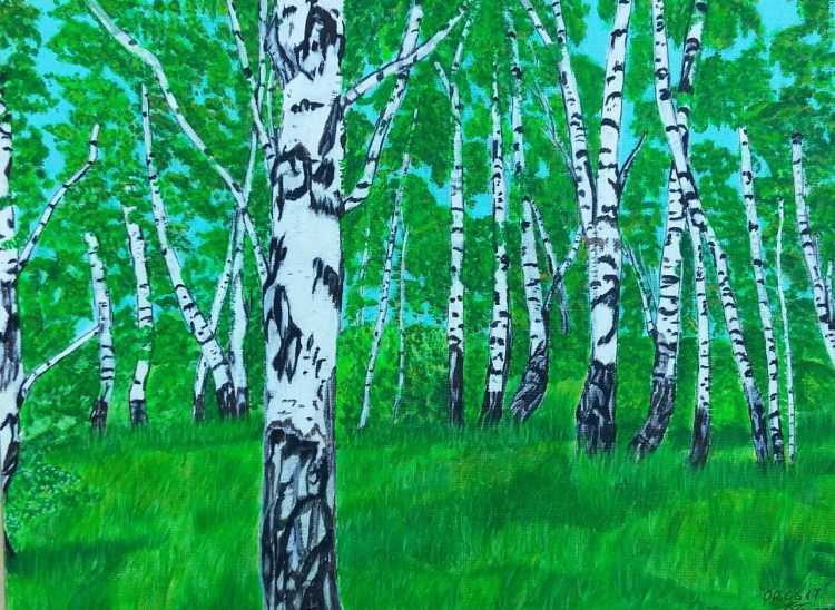 Рисование березовой Рощи
