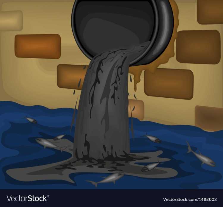 Макет загрязнение воды