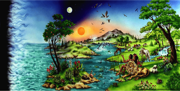 Иллюстрации дни творения