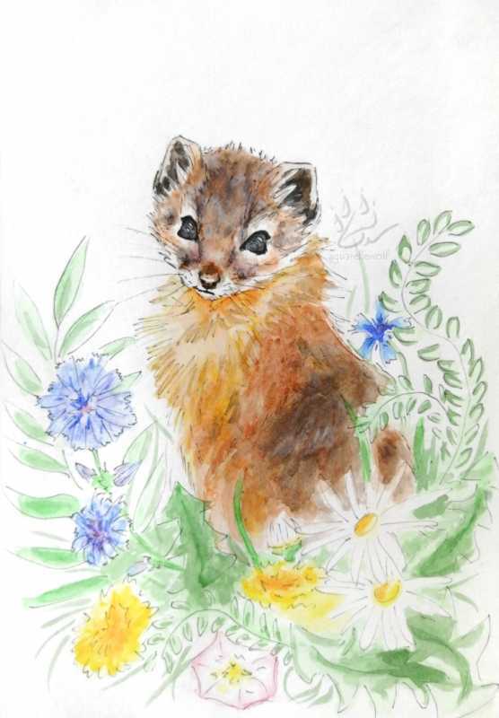 Природа карандашом