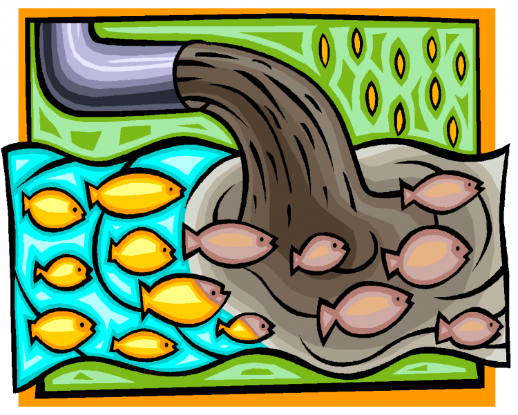 Раскраски на тему вода