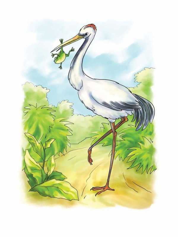 Журка пришвин журавль питается