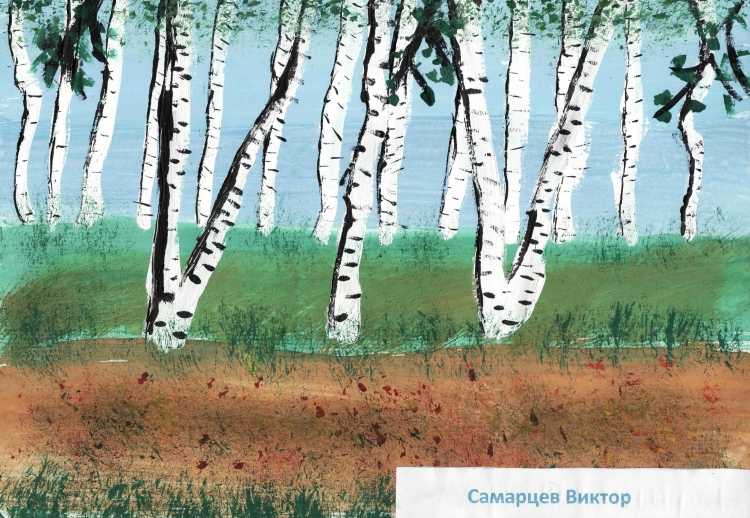 Береза в поле рисунок