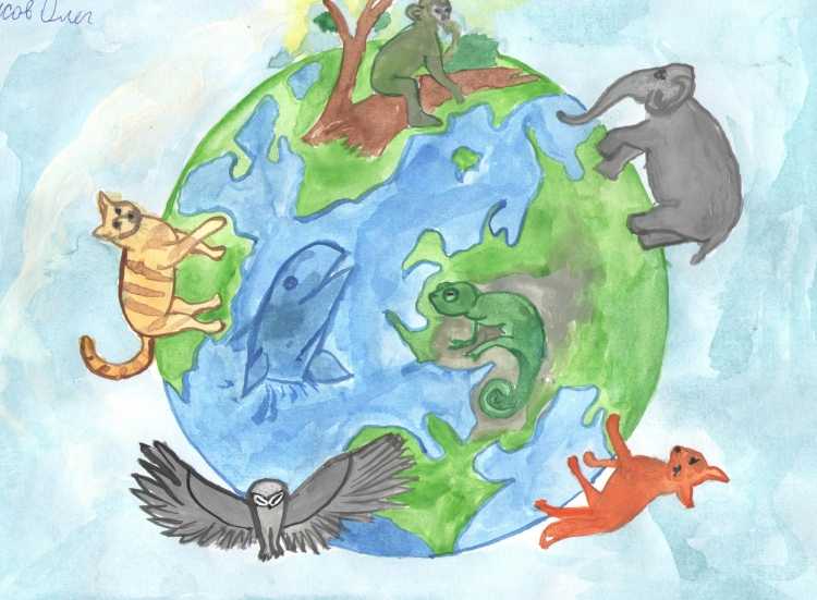 Живая Планета рисунок