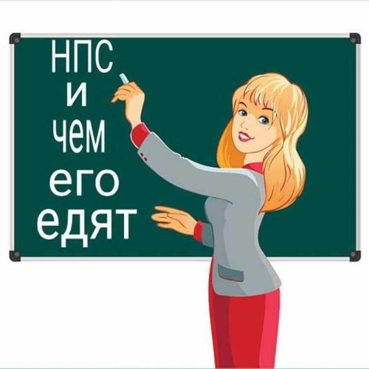 Учитель у доски вектор