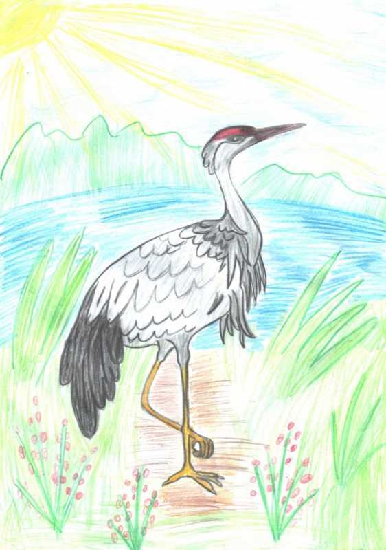 Журавли для рисования