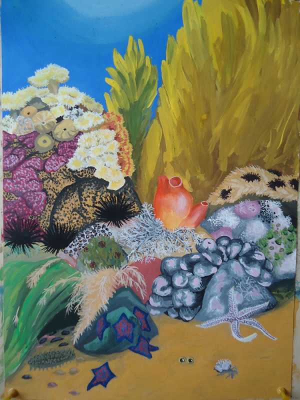 Морское дно рисунок