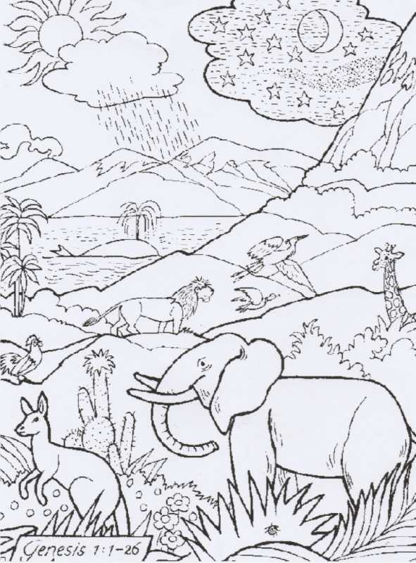 Дни творения раскраска для детей