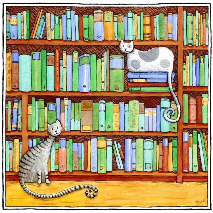 Коты в библиотеке