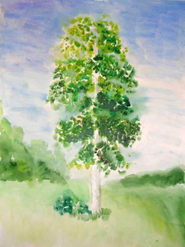 Рисование березы