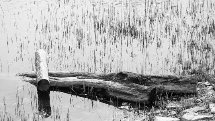 Картинки для срисовки карандашом грустные