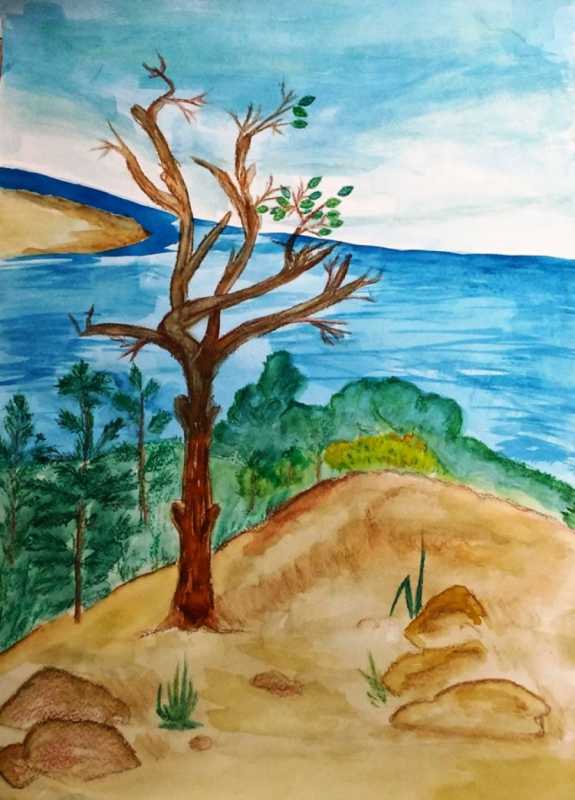 Природа иллюстрация