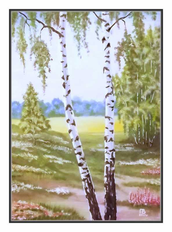 Рисование. Береза летом.