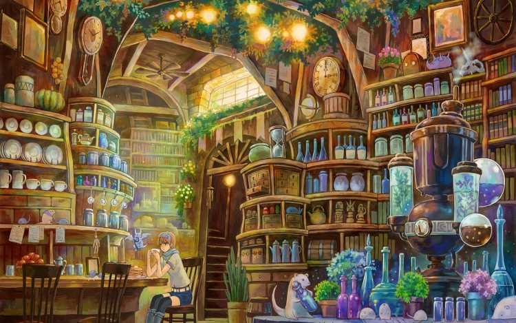 Лавка зелий фэнтези арт
