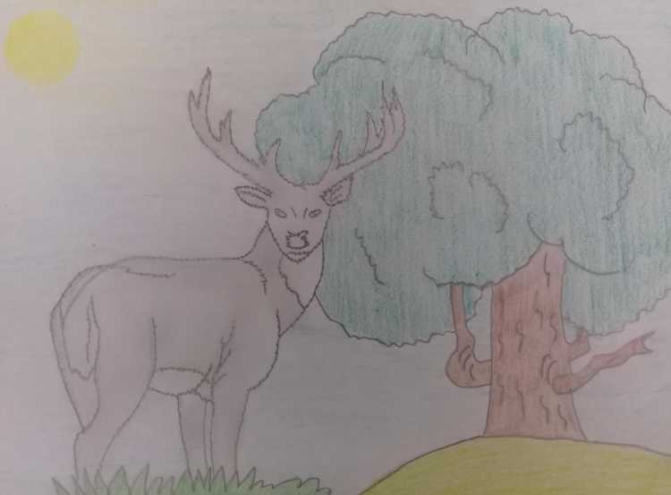 Рисунок на тему родное Забайкалье