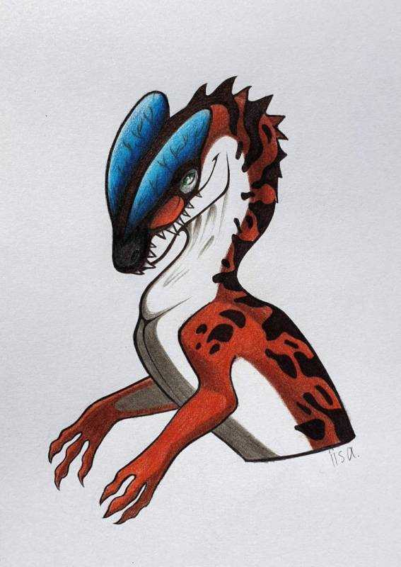 Раскраска динозавр Аллозавр