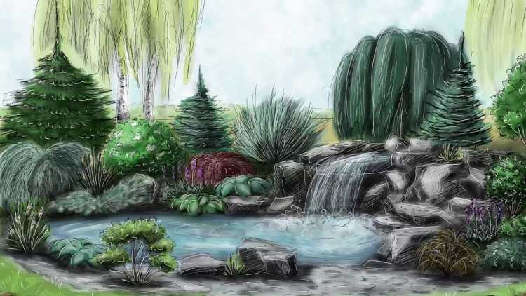 Эскиз водоема ландшафтный дизайн