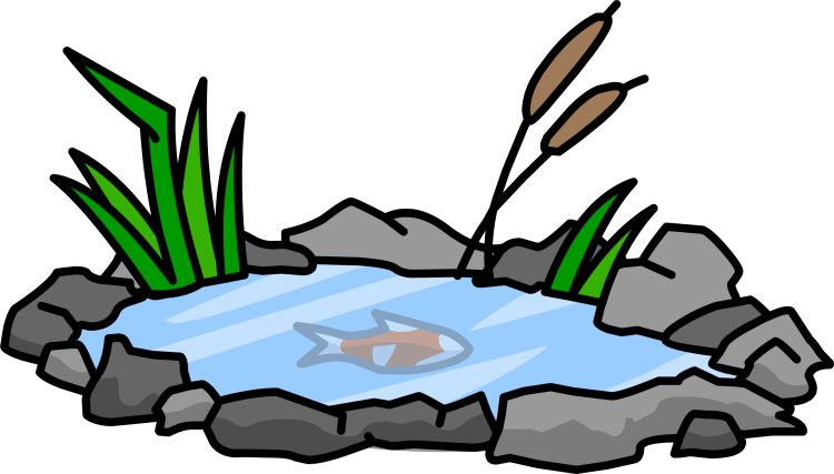 Пруд без фона