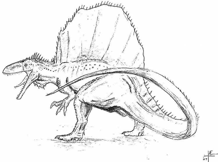 Велоцераптор раскраска мир Юрского периода