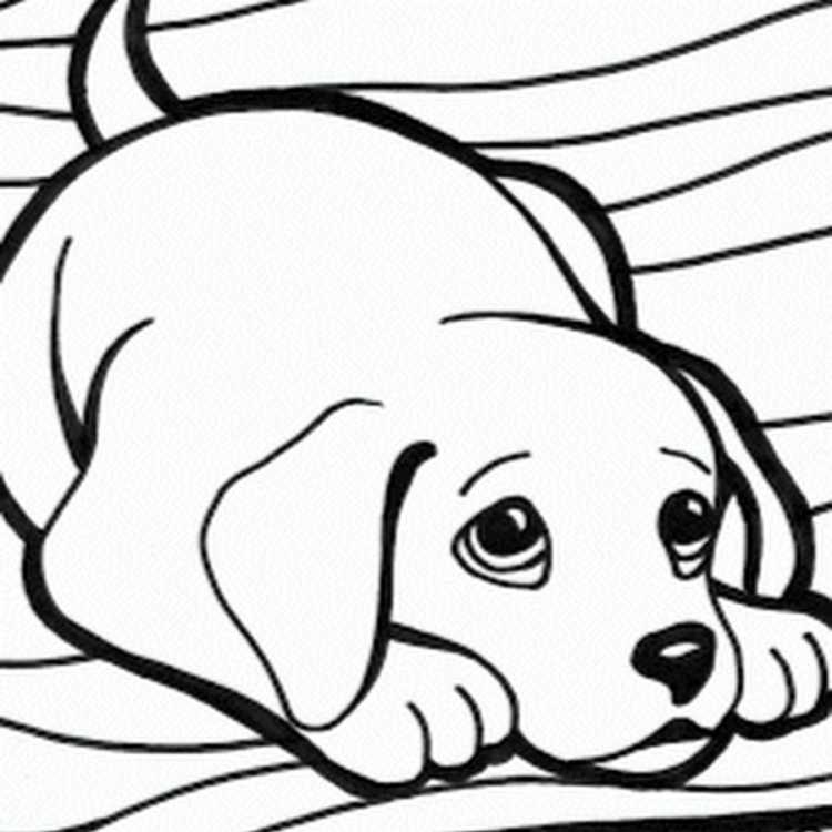 Милые щенки. Раскраска