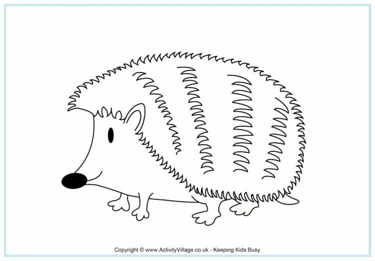 Раскраска Ёжик