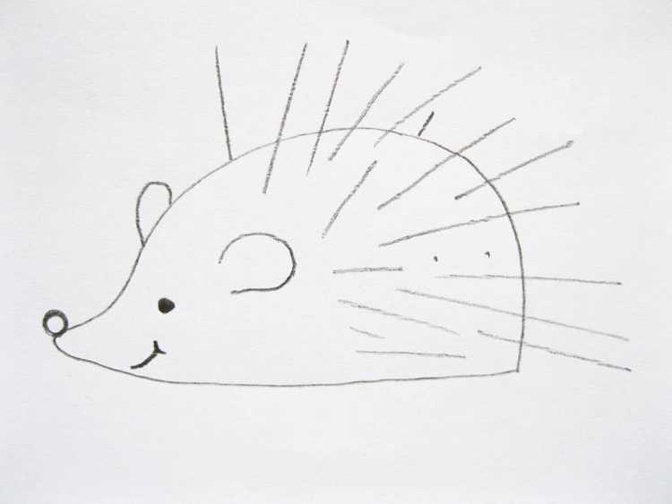 Раскраска Ёжик