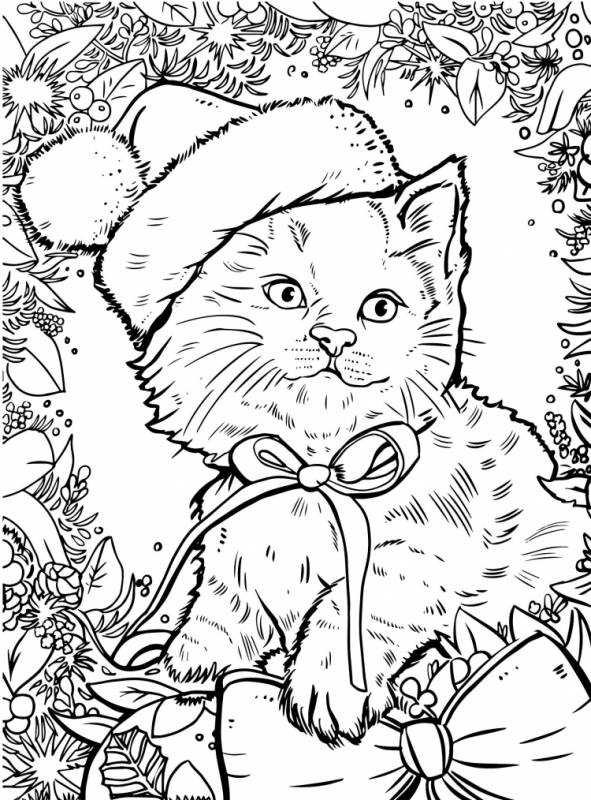 Раскраски бездомные котики и собачки