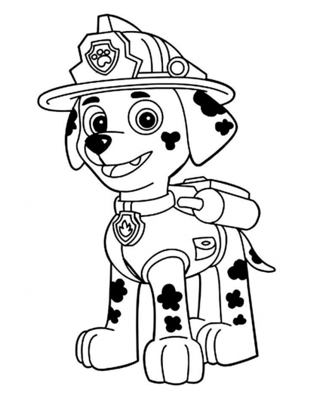 Paw Patrol раскраска