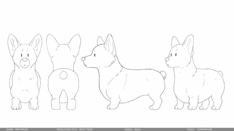 Королевский корги