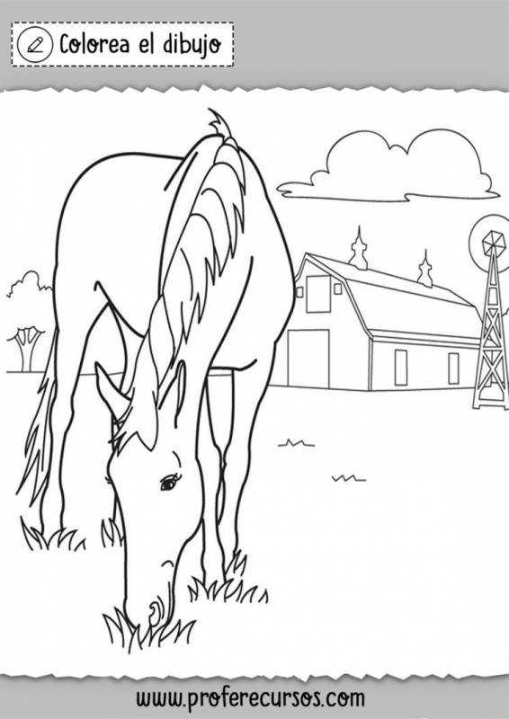 Раскраски ферма с животными