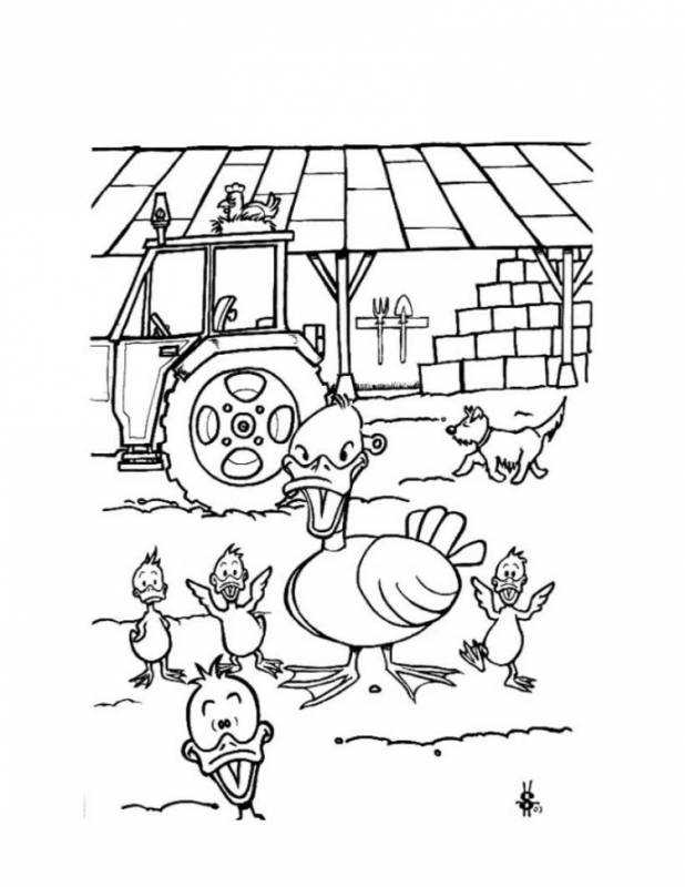 Ферма раскраска с уточкой