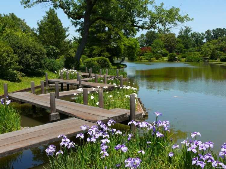 Прудик речка мостик.деревня