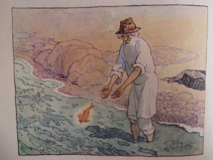 Сказка о рыбаке и рыбке детские рисунки