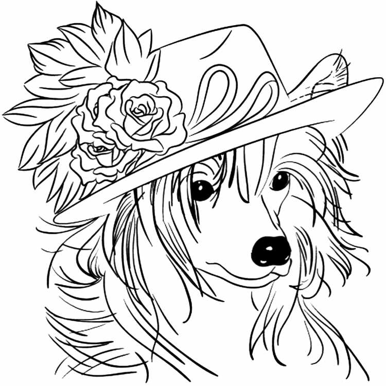 Вельш корги пемброк раскраска