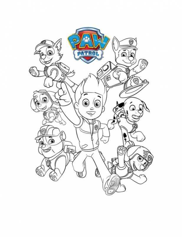 Щенячий патруль Рокки полицейский