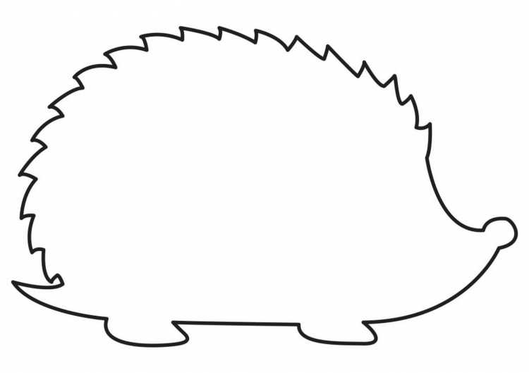 Раскраска Ёжик