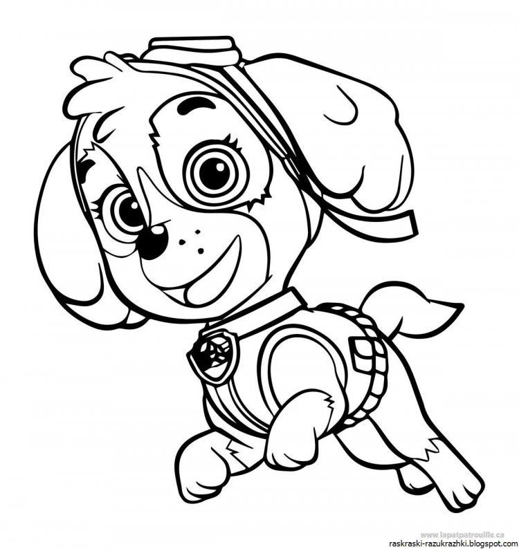 Скай раскраска Щенячий патруль