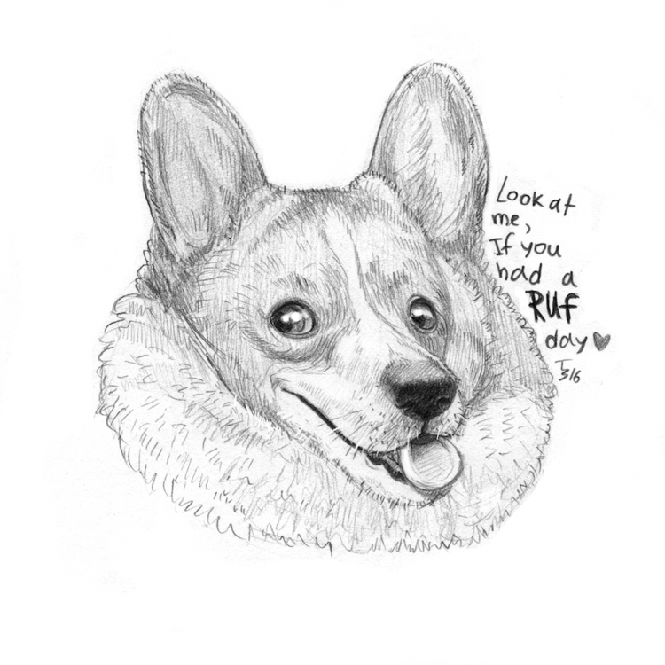 Вельш корги пемброк раскраска