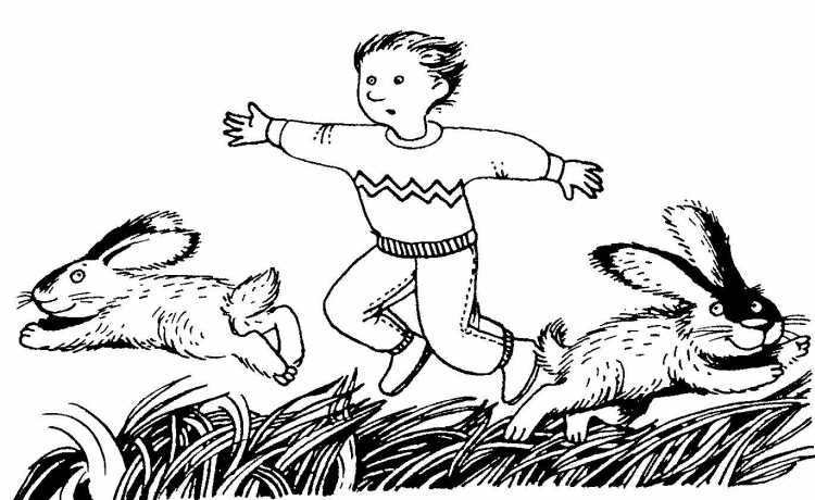 Гоняться за двумя зайцами