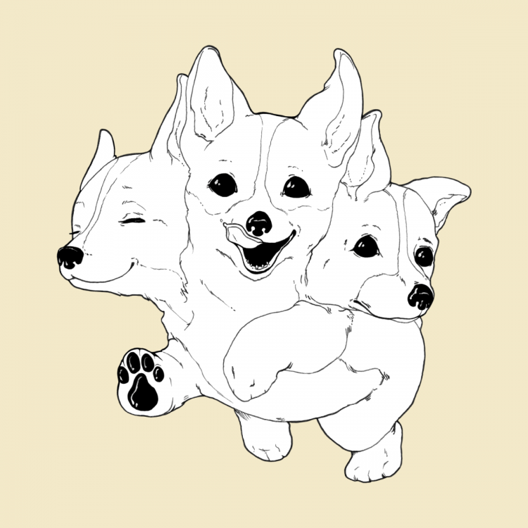 Корги раскраскаантистрес