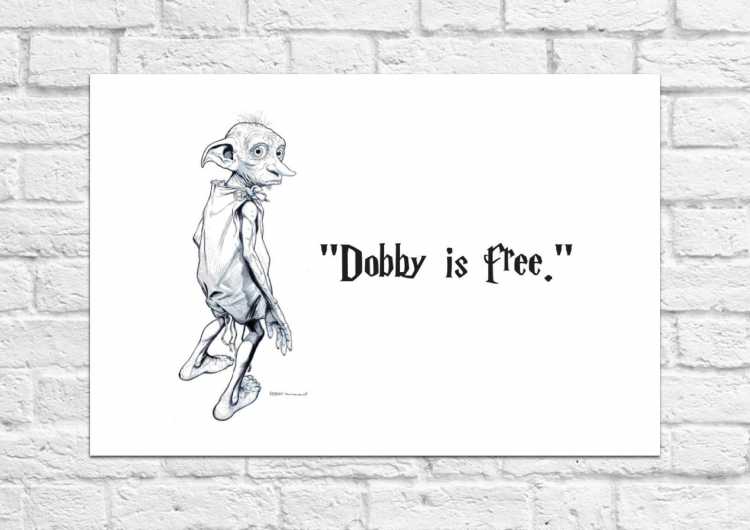 Постер Dobby