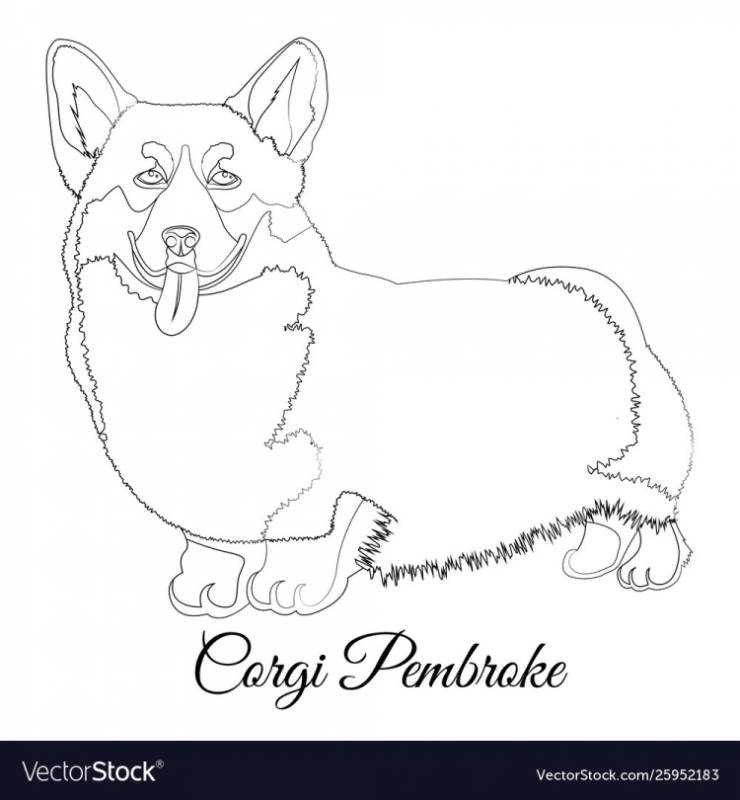 Корги раскраскаантистрес