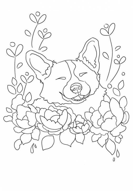 Королевский корги раскраска