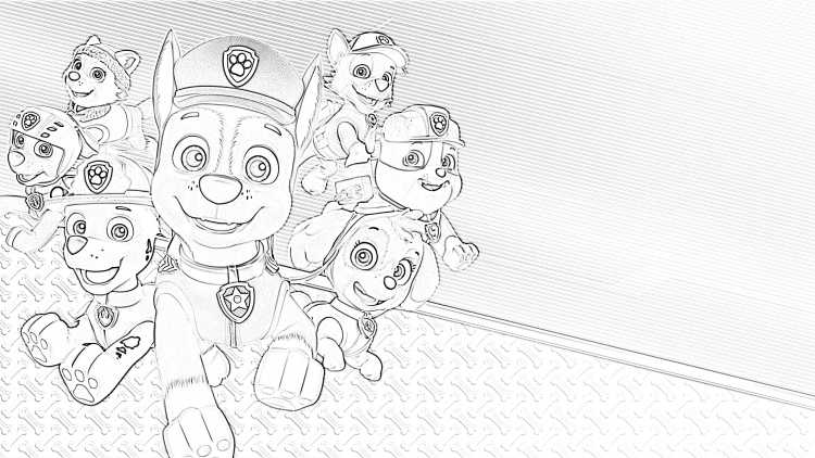 Зума Щенячий патруль раскраска цветная