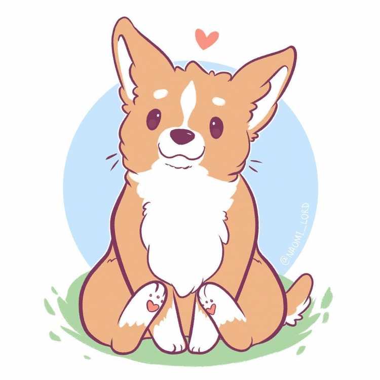 Референсы корги