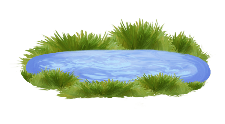 Пруд на прозрачном фоне