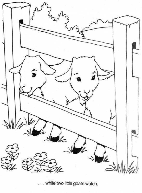 Раскраска коза с козлятами